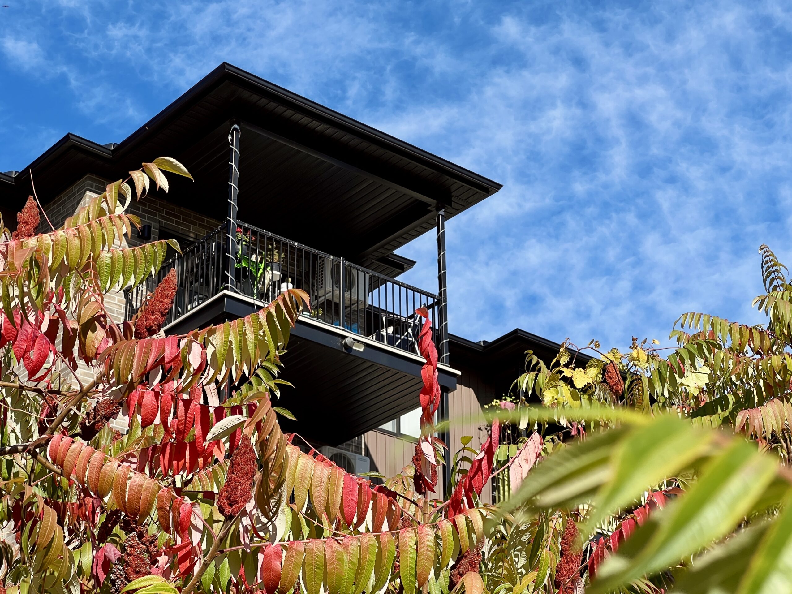 20251003 185854745 ios